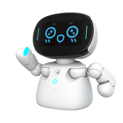 Kebbi Air Robot